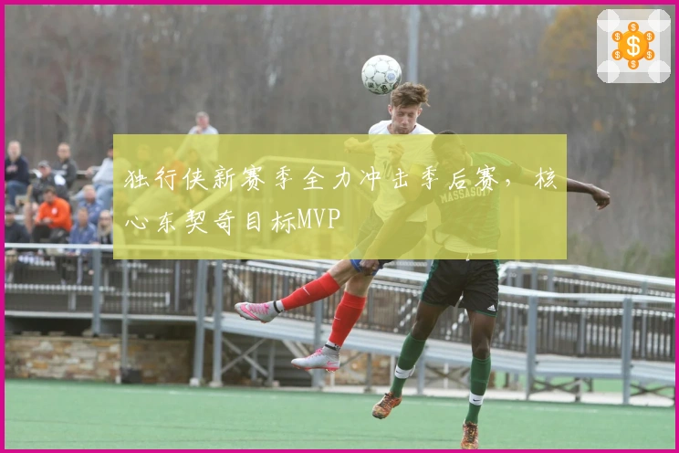 独行侠新赛季全力冲击季后赛，核心东契奇目标MVP